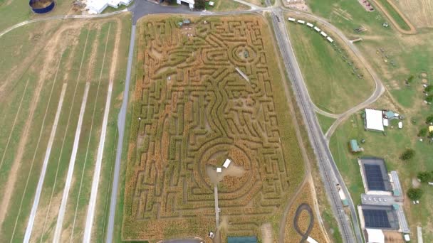 Aerial View Felülről Egy Nagy Kukorica Maze Ősszel Mint Látta — Stock videók