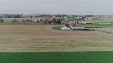 Bir Amish Düğünü 'nün Sonbahar Günü Böceklerle Havadan görünüşü, bir Amish' in Drone tarafından görüldüğü gibi voleybol oynaması.