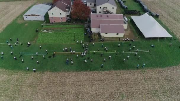 Veduta Aerea Matrimonio Amish Giorno Autunno Con Buggies Amish Giocare — Video Stock