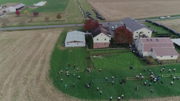 Aerial View Amish Wedding Autumn Day Buggies Amish Playing Volley — Stock Video
