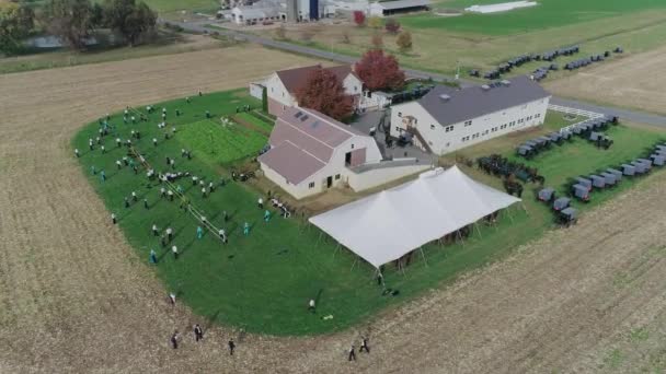 Vue Aérienne Mariage Amish Jour Automne Avec Des Buggies Amish — Video