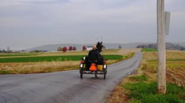 Bir sonbahar gününde Amish Adam Açık Arabayla At Sürüyor