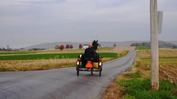 Amish Man Cavalcando Buggy Aperto Una Giornata Autunno — Video Stock