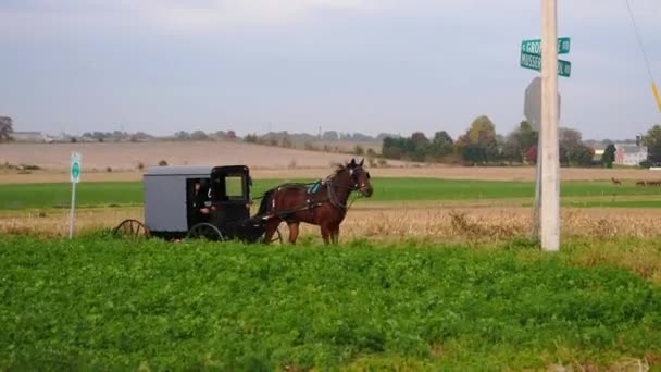 2018年11月 宾夕法尼亚斯特拉斯堡 Ariel View Steam Engine Passenger Cars Puffing Amish — 图库视频影像