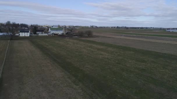 Veduta Aerea Matrimonio Famiglia Amish Con Cavallo Buggies Pallavolo Divertimento — Video Stock