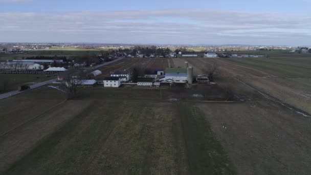 Veduta Aerea Matrimonio Famiglia Amish Con Cavallo Buggies Pallavolo Divertimento — Video Stock