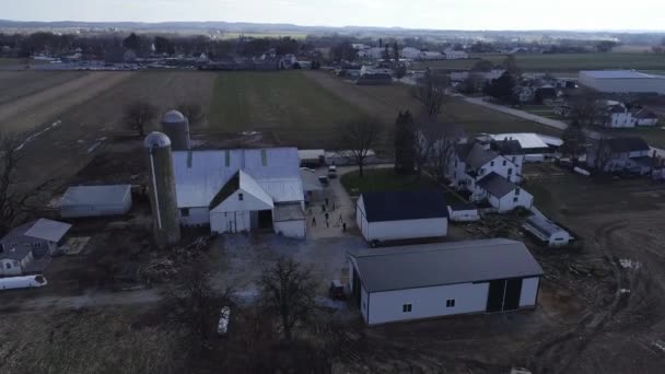 Aerial View Amish Family Esküvő Buggies Röplabda Szórakozás Mint Látott — Stock videók