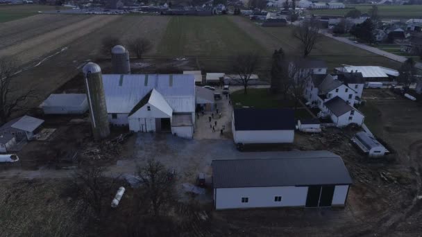 Aerial View Amish Family Esküvő Buggies Röplabda Szórakozás Mint Látott — Stock videók