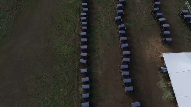 Vista Aérea Una Boda Familiar Amish Con Caballo Buggies Voleibol — Vídeo de stock