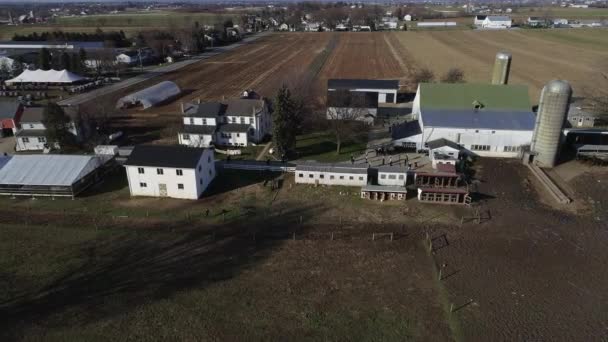 Aerial View Amish Family Esküvő Buggies Röplabda Szórakozás Mint Látott — Stock videók