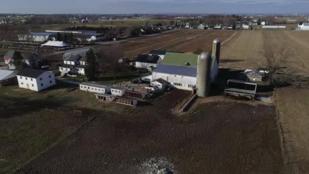 Aerial View Amish Family Esküvő Buggies Röplabda Szórakozás Mint Látott — Stock videók