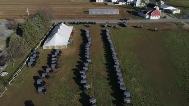 Vista Aérea Una Boda Familiar Amish Con Caballo Buggies Voleibol — Vídeos de Stock