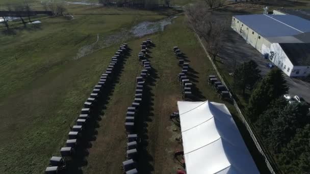 Vista Aérea Casamento Familiar Amish Com Cavalo Buggies Voleibol Diversão — Vídeo de Stock