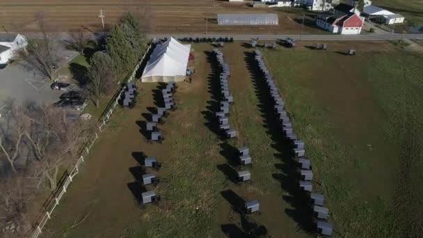 Amish Ailesi Düğününün Havadan Görüntüsü Böceklerle Voleybol Nsansız Hava Aracı — Stok video