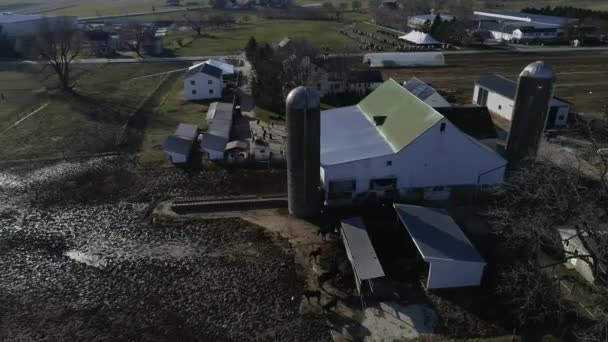 Luftaufnahme Einer Amischen Familienhochzeit Mit Pferd Und Buggys Volleyball Und — Stockvideo