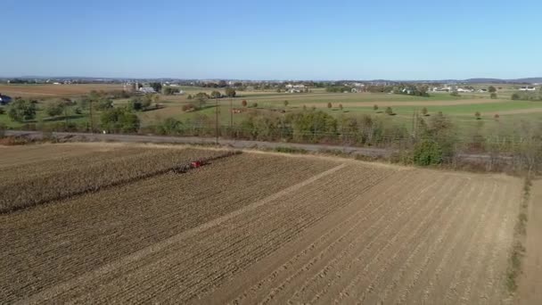 Vista Aérea Agricultor Amish Cosechando Cosecha Maíz Otoño Con Cinco — Vídeos de Stock