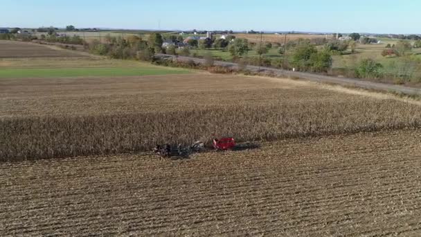 Letecký Pohled Amišského Farmáře Sklízejícího Svou Podzimní Kukuřici Pěti Koňmi — Stock video