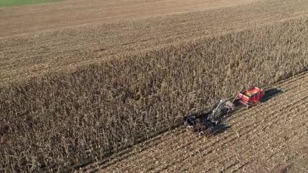 Widok Lotu Ptaka Farmera Zbierającego Jesienną Kukurydzę Pięcioma Końmi Ciągnącymi — Wideo stockowe