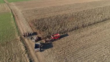 Aerial View of an Amish Farmer Harvesting His Autumn Crop of Corn With Five Horses Pulling his Harvester Changing Storage Wagon