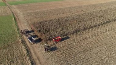Aerial View of an Amish Farmer Harvesting His Autumn Crop of Corn With Five Horses Pulling his Harvester Changing Storage Wagon
