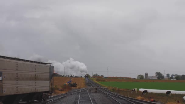 Head View Steam Locomotive Pulling Freight Pulling Yard Cattle Watching — Stock video