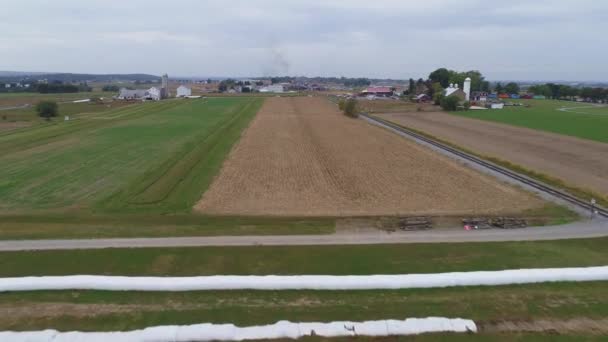 Aerial View Herd Cows Grazing Rail Road Track Sunny Autumn — Stock Video