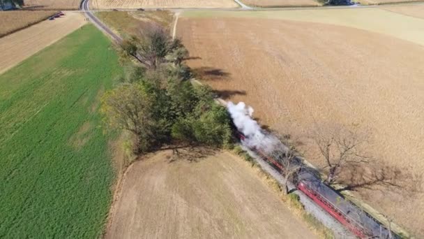2019年10月 宾夕法尼亚 斯特拉斯堡 从头顶看到一列蒸汽火车在乡间缓缓行驶时通过树木喷出烟雾和蒸汽 — 图库视频影像