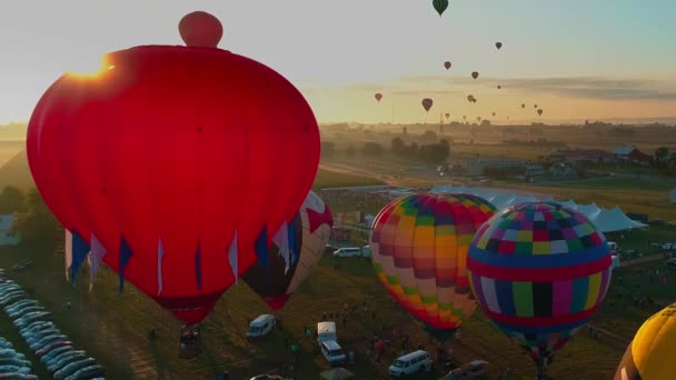 Luftaufnahme Mehrerer Heißluftballons Frühen Morgen Während Eines Festivals Einem Sonnigen — Stockvideo