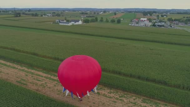 Widok Lotu Ptaka Balon Dotykający Uprawy Kukurydzy Farmie Podczas Festiwalu — Wideo stockowe