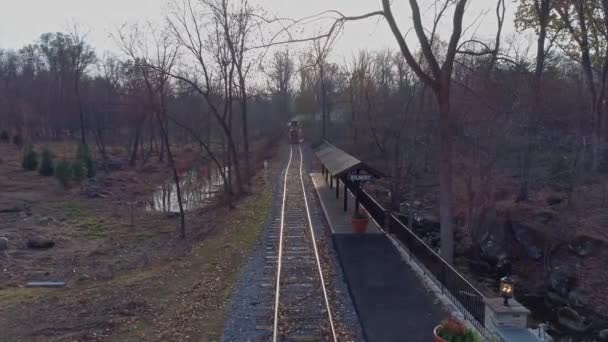 Buharlı Bir Lokomotif Ağaçların Arasından Geçen Trenin Arkasından Duman Buhar — Stok video
