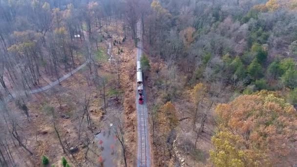 Testa Aerea Vista Una Locomotiva Vapore Restaurata Autovetture Che Viaggiano — Video Stock