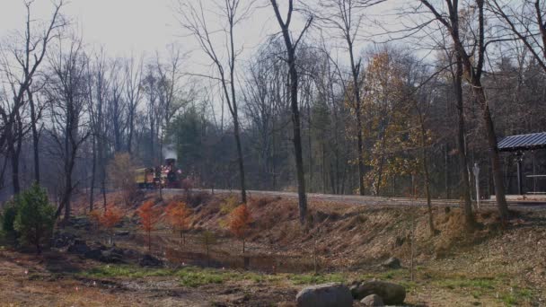 Elizabeth Ethtown Pennsylvania November 2019 Side View Restored Steam Locomotive — стоковое видео