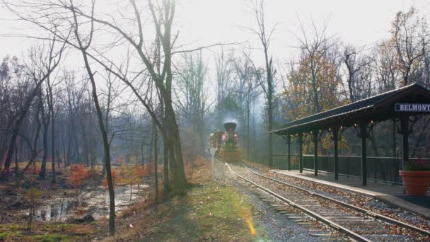 Elizabethtown Pennsylvania November 2019 Utsikt Över Restaurerad Ånglok Och Personbilar — Stockvideo