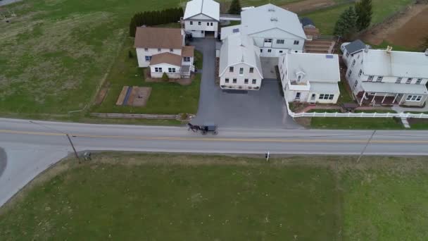 Amish Horse Buggy Riding Countryside Road Passing Amish Homes Winter — Stock video