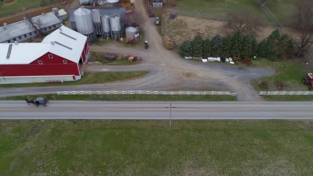 Amish Horse Buggy Riding Countryside Road Passing Amish Homes Winter — Stock video