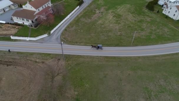 Amish Horse Buggy Riding Countryside Road Passing Amish Homes Winter — Stock video