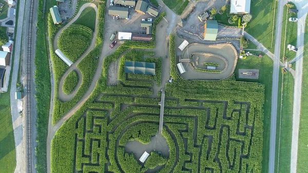 Vista Verso Basso Drone Grande Labirinto Mais Pennsylvania — Foto Stock