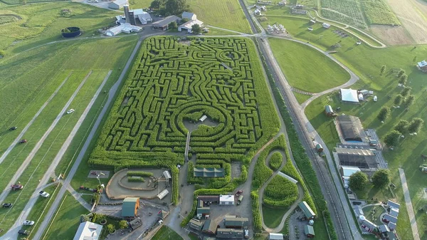 Pensilvanya 'daki büyük bir mısır labirentinin insansız hava aracından aşağıya bakan görüntüsü