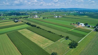 Yazın mavi gökyüzü ve beyaz kabarık bulutlarla tarlaların havadan görünüşü