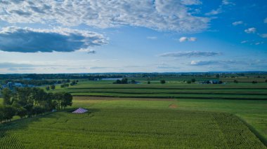 Güneşli bir kırsalda, güzel bir gökyüzünde büyüyen yeşil tarlaların ve yuvarlanan ekinlerin havadan görünüşü.