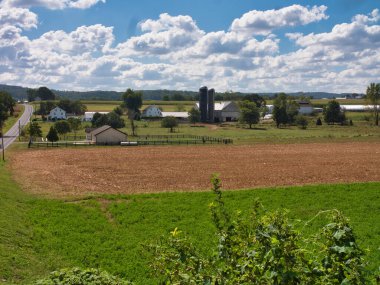 Güneşli bir yaz gününde kırsal manzara
