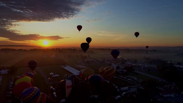 Veduta Aerea Più Mongolfiere Mattino Presto Decollare Sole Durante Festival — Video Stock