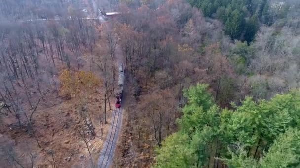 復元された蒸気機関車 客車の空中で 屋根付きの橋を眺めながら列車の前方に煙と蒸気を吹いて木を通って移動する — ストック動画