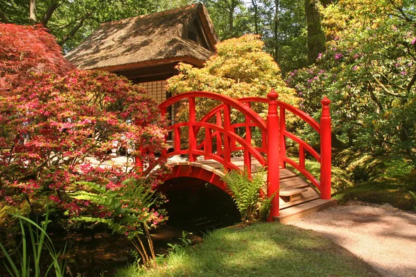 Jardim Japonês com pequena ponte vermelha — Fotografia de Stock