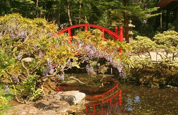 Japanischer Garten mit kleiner roter Brücke — Stockfoto