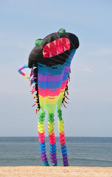 Grande pipa voando na praia — Fotografia de Stock