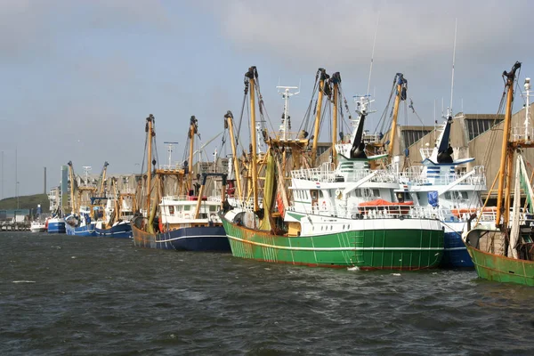 拖网渔船在荷兰席凡宁根港 — 图库照片