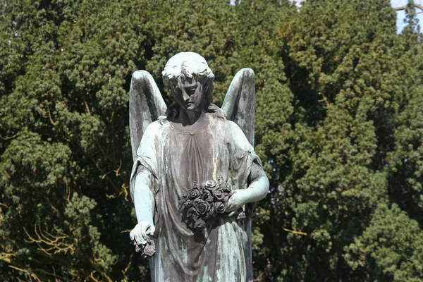 Stone Cemetery Angel in graveyard — Stock Photo, Image