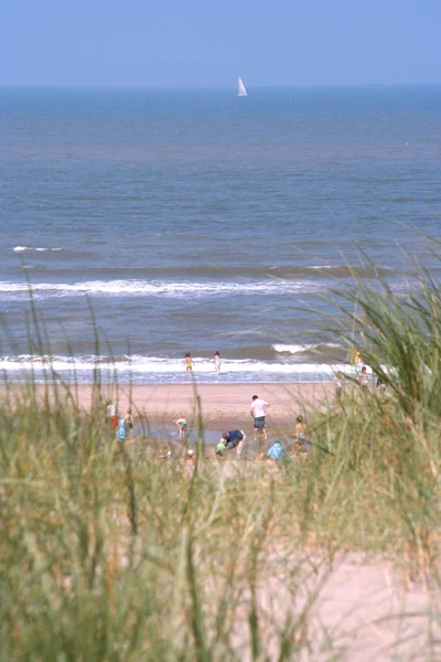 Strand und Meer von den Dünen aus gesehen — Stockfoto