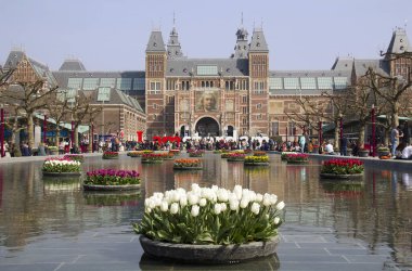 Çiçekler Rijksmuseum Amsterdam, Hollanda